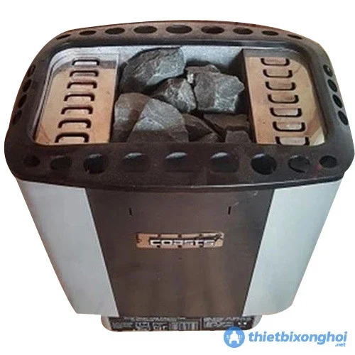 Máy xông hơi khô COAST 12KW